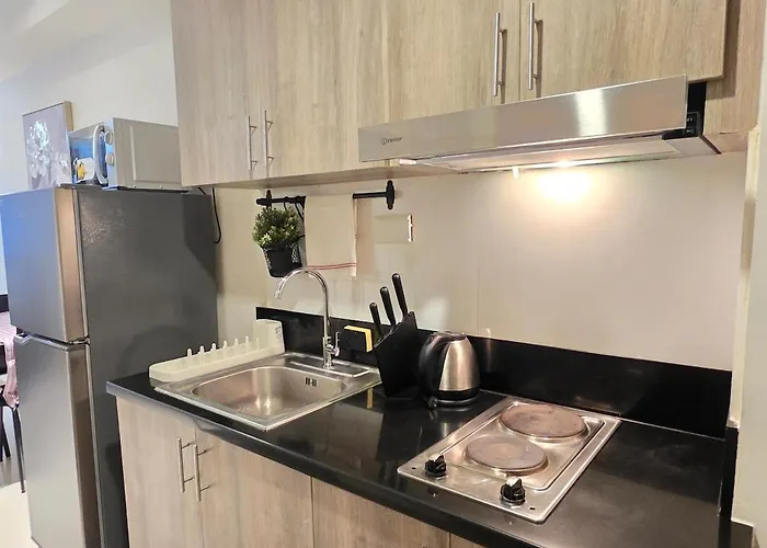 Serene Cozy 1br Near Mall Of Smx Ikea And Airport Apartment Manila